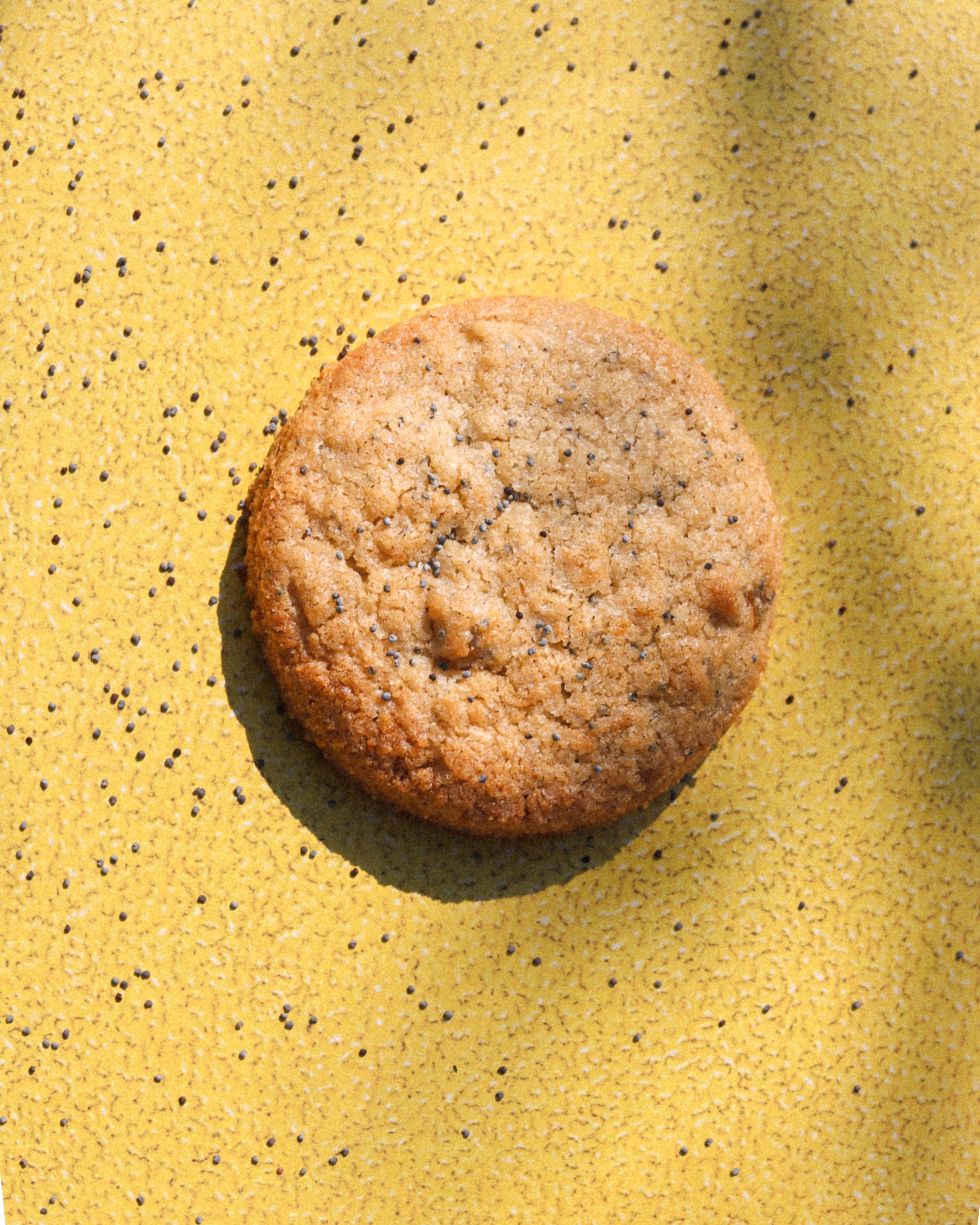 Lot de 6 cookies - parfums de saison