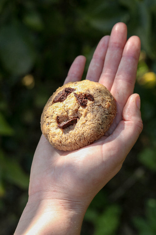 Lot de 6 cookies - parfums de saison