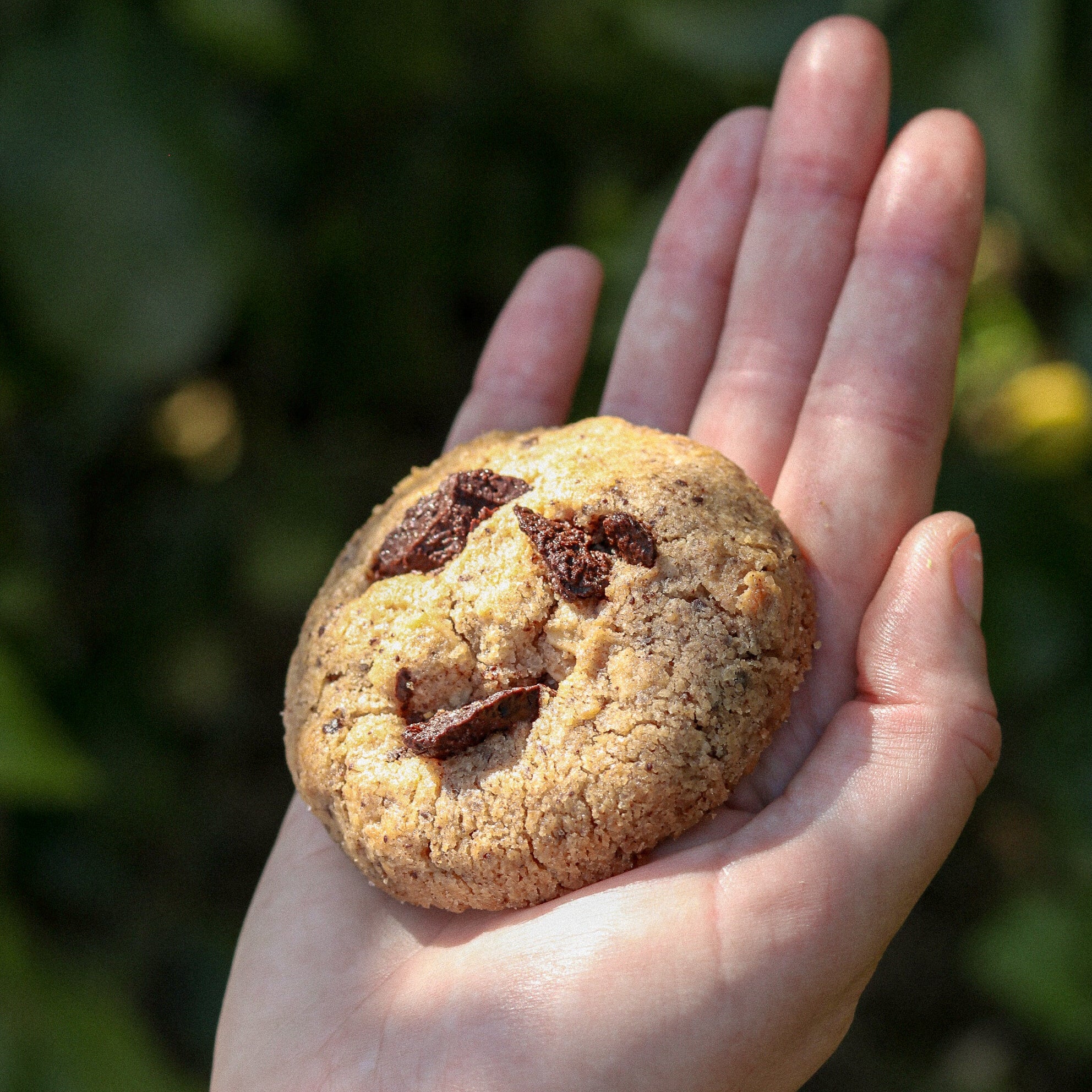 Lot de 6 cookies - parfums d'été